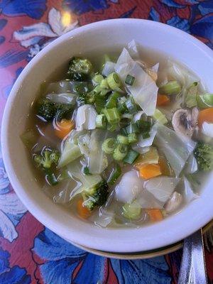 Noodle soup with veggies