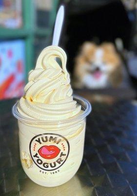 French Vanilla Soft Serve | Small cup - $6.50 (two outdoor tables)