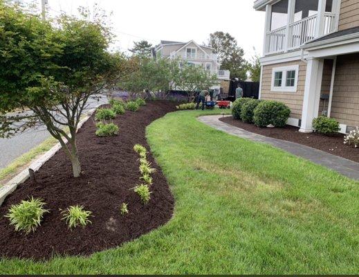 New bulking, new Flower bed and new plantings