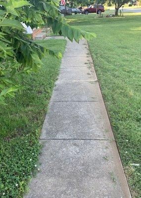 Re-take your walkway and driveway by having it edged.