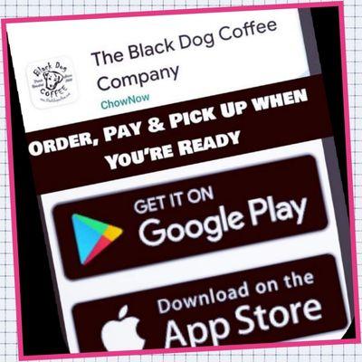 DOWNLOAD The Black Dog Coffee Company from your App or Play Store and Order Ahead for Pick-Up!  We have a Walk-Up Window!