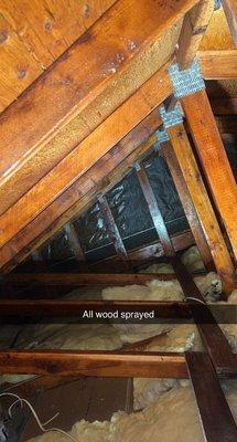 All the wood gets sprayed to help prevent termites for the future