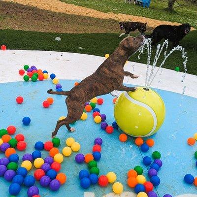 Fun at the NaJu Lagoon Splash Pad!