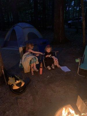 PGS-33 site with s'mores and babies :)