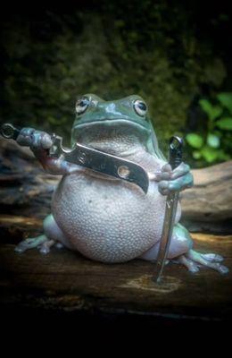 Frog