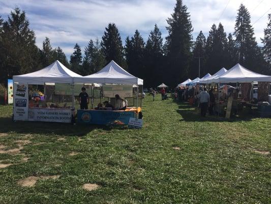 Two rows of tents - lots of veggies, a bakery, some soaps & scents, great popcorn booth, woodwork, jewelry, dog treats...