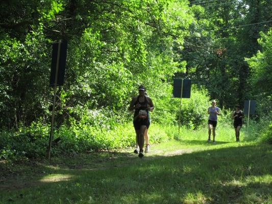 Runners run through the woods. All of it is shaded except for one mile.