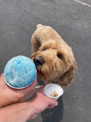 Rocky Mountain Snow Cones