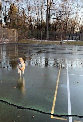 Nikita on the tennis courts