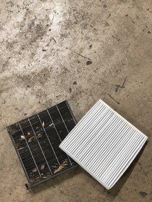 When is the last time you replaced your CABIN AIR FILTER?