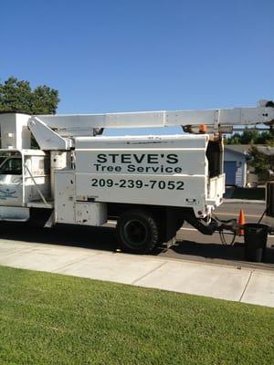 Steve's awesome tree service