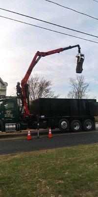 Tree removal