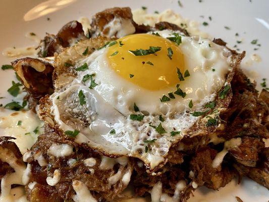 Short rib hash and fried egg