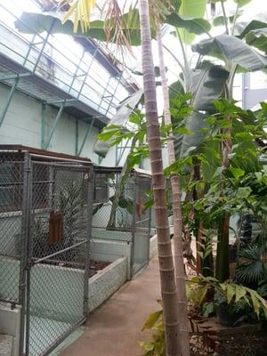 The enclosed atrium area.