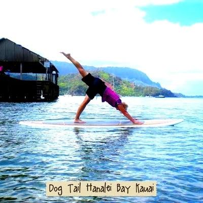 Down dog tail, paddle boarding, Hanalei Bay, Kauai'