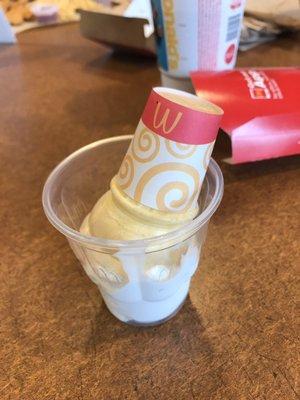 Cup in a cone - MELTED.  if I wanted milk I would have ordered milk.