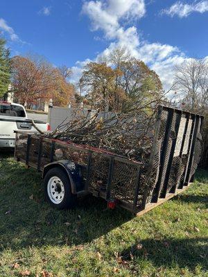 Hauling away tree our professionals just cut down