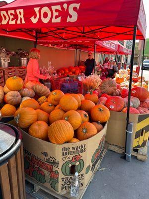 It's autumn and pumpkin time! #phoenix