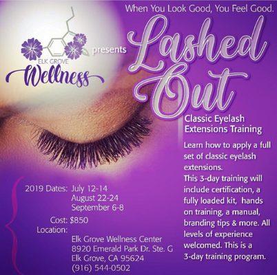 Lash class