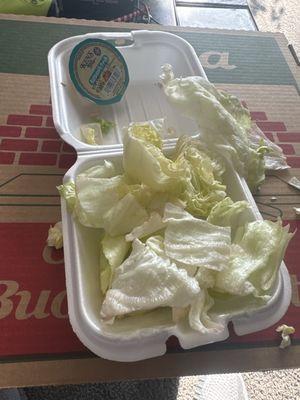 Apparently side salads are lettuce only ‍