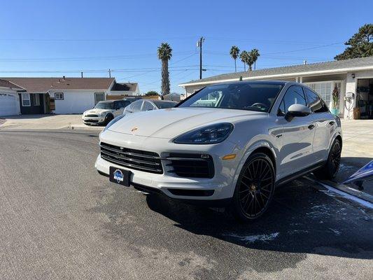 Gorgeous cayenne in for maintenance wash