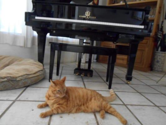 Tuffy Hacienda Escondida Puerto Vallarta enjoying a player performance on a R Kassman piano