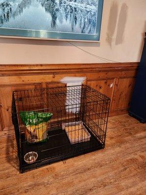 Kennel setup with litter IN box per "requirements."