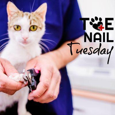 $10 walk in nail trims Tuesday 10 - 2