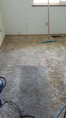 Crystal Carpet Cleaning & Restoration