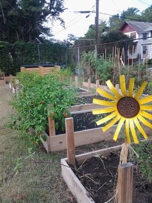 Garden with fresh herbs and vegetables