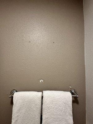 Bathroom holes