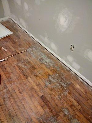 Drywall repairs & hardwood flooring refinishing