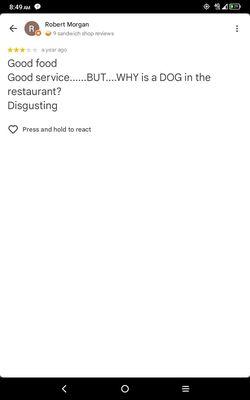 Screenshot of the other customer's review of them seeing a dog in the referenced Subway restaurant.