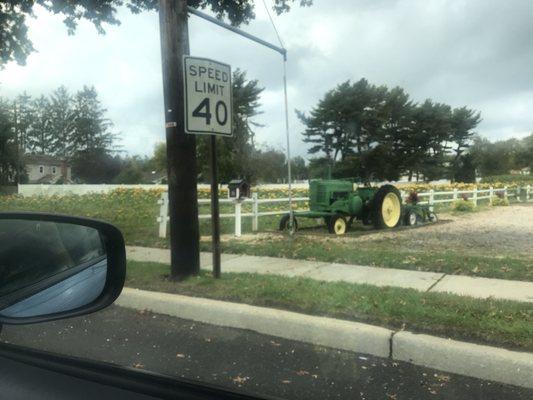 Just look at that sunflower field next door...