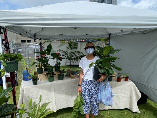 Fiddle leaf and me