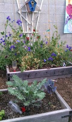 The children are an integral part of maintaining our gorgeous garden.