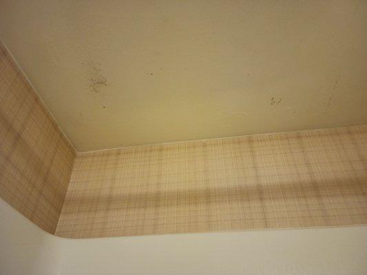 Mold in the shower. Maybe from a lack of ventilation?