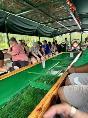 Glass bottom boat