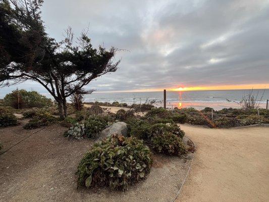 Sea Cliff Park