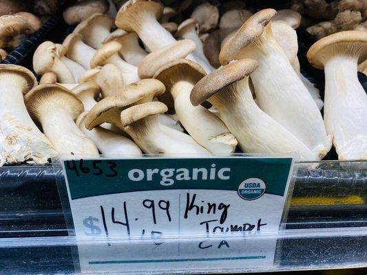 Organic King Trumpet  mushrooms