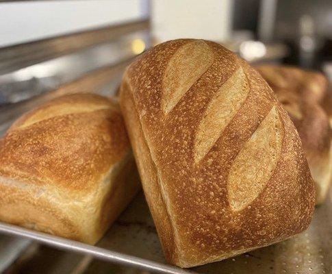 Fresh Sourdough