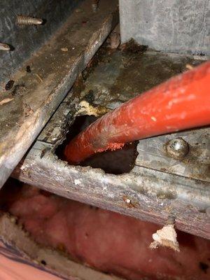 Pipe that burst