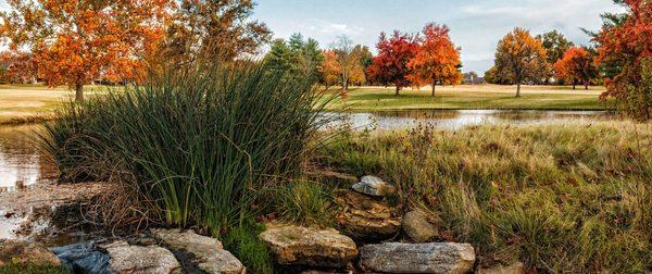 A view of the course during fall