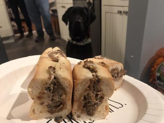 Philadelphia Cheesesteak Adventure - Elbert, Guide Dog in Training