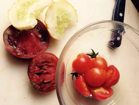 Daily harvests make for for perfect veggies