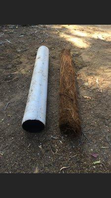 Roots can cause major issues in the main lines. As you can see here these roots completely took over the entire pipe.