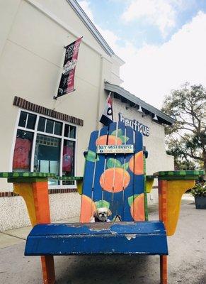 Mocha Coconut loving the big citrus beach chair at Key West Boutique located next door to Rosie's Tavern.