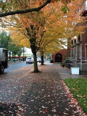 Autumn outside the school