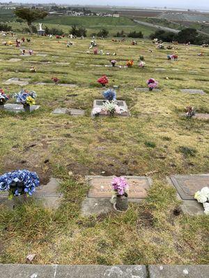 The cemetery is horribly unappealing. It looks forgotten and neglected. This place is anything but heavenly!