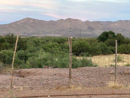 Desert mountain scene